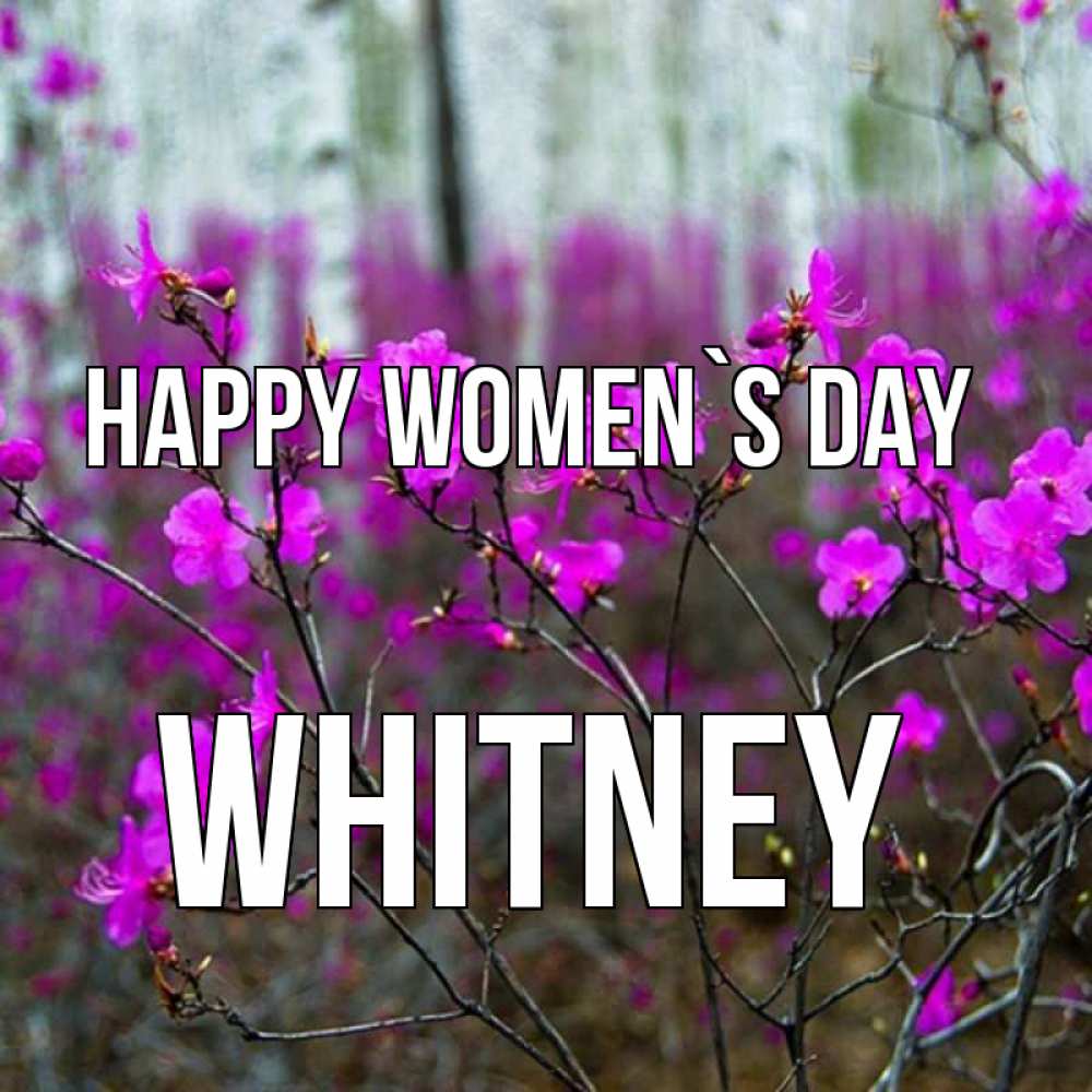Greetings card с именем, Whitney happy women`s day дикие цветы Greetings with text for free download 